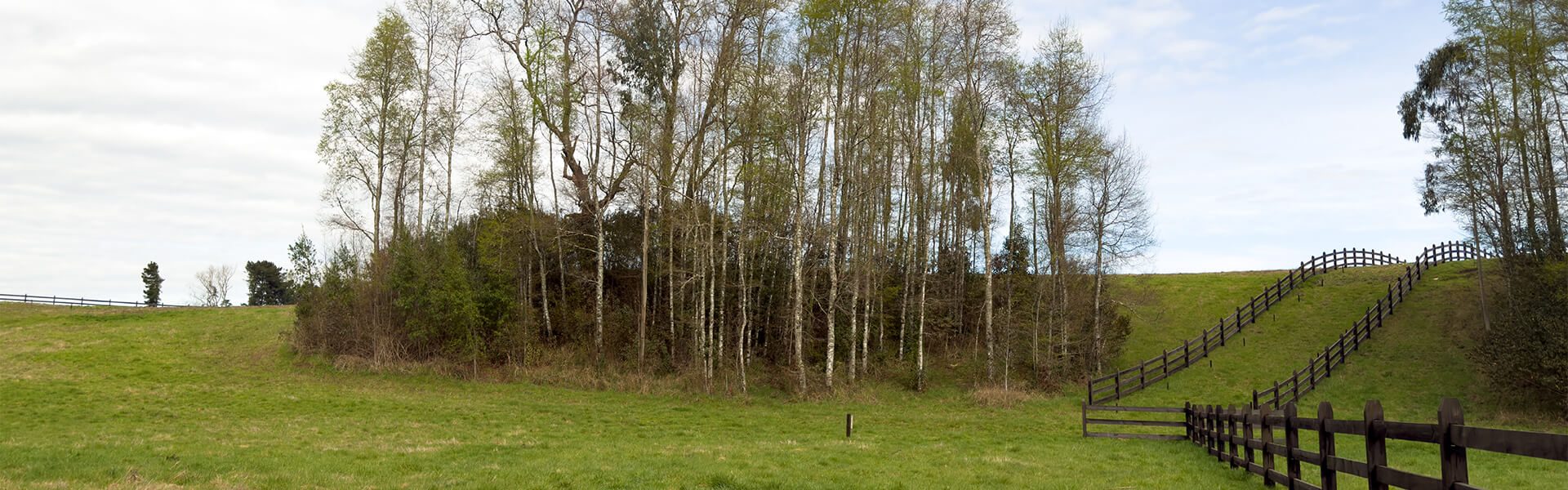 GALERIA_0000_IMG_9464