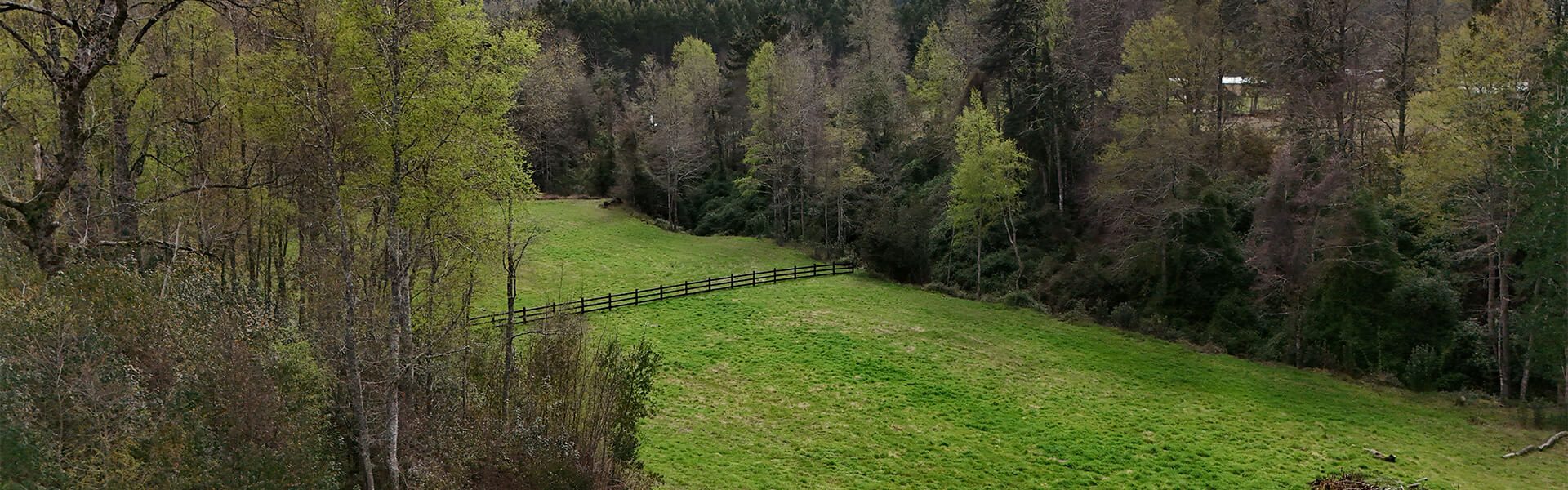 GALERIA_0005_DJI_20250831195240_0193_D